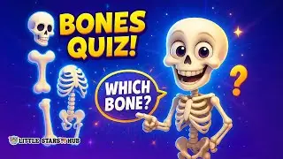 Human Skeletal System Quiz for Kids 🦴 | Learn Bones With Fun Facts (Easy Science Learning)