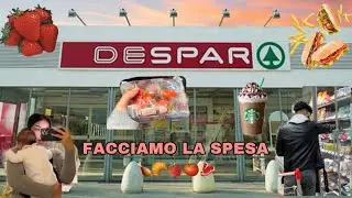 FACCIAMO LA SPESA😋 [vi porto con me]