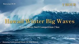 1 Hour BGM | Hawaii Winter Big Waves | North Shore Surf Competition | See the Ocean, Hear the Waves
