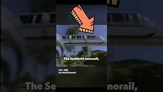 There's a problem with my favourite part of Sea World! The #monorail 🚝. #genx #girldad 💪🩵