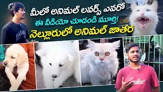 నెల్లూరులో అనిమల్ జాతర | Pets Market in Nellore | Pets Selling in Nellore | Pets in Nellore #SASTv