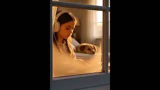 Window Fog 🌫️ Cozy Lofi Jazz