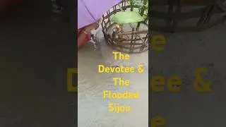 The Bathou Devotee and the Flooded Sijou#spirituality