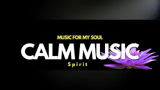 Calmant - CALM MUSIC