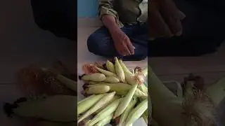information about corn 🌽#yt#shorts#food plaza #भुट्टो ka sabji#cooking time
