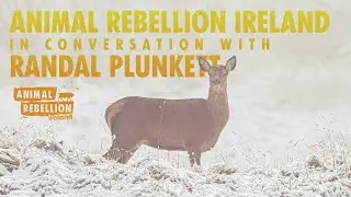 Animal Rebellion Ireland in conversation with Randal Plunkett