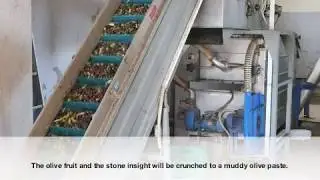 How Premium Extra Virgin Olive Oil is made - Virtual Tour Olive Oil Mill Makris