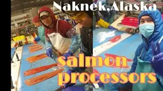 mga PINOY WORKERS IN  ALASKA