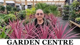 65. Must-Visit Garden Centre for Plant Lovers: Autumn 2024 