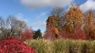 Golf Preserve Frankfort Indiana   Earthbound Longing Skyward by Russell Kaspar