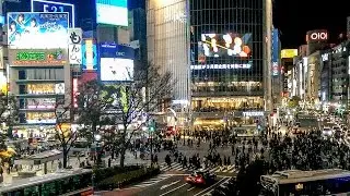Busy Shibuya Crossing Tokyo Japan At Midnight | Travel