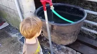The kids doing chores on the farm