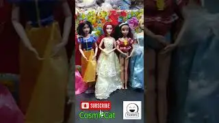 The Dolls and the Cats #cutecats #cat #cosmiccat #funnycats #cute #shortvideo #cosmiccatastrophe