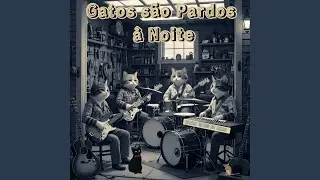 Todo gato &eacute; pardo &agrave; noite