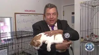 11-20-2020 Save A Pet