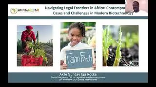 Navigating Legal Frontiers in Africa: Contemporary Cases and Challenges in Modern Biotechnology