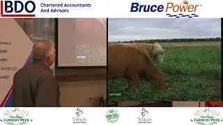 Alternative feed sources for Cows Mike Buis