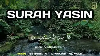 Peaceful Quran for Deep Sleep – Surah Yasin, Al-Mulk, Ar-Rahman, Al-Waqiah