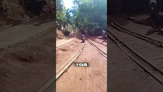 Handmade Bamboo Roller Coaster😱