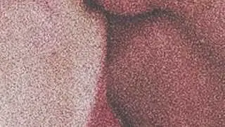 MT WARNING - Petrified Heart [Official Audio]