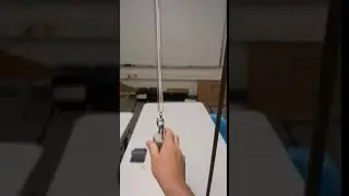 spring-mass system (vertical)