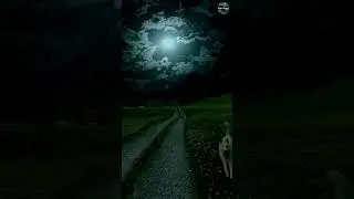 Night Time Relaxation | Nature-themed Films #nightrelaxation #shorts #nature #naturethemedfilms