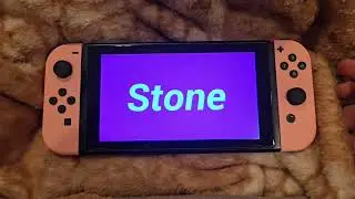 nintendo switch hidden gem? Stone - a hungover koala private investigator