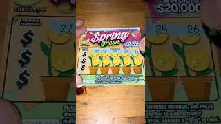 Лотерея Spring Green California Lottery Scratcher🤞🍀🍀🍀