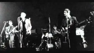 The Wild Swans - Bluebell Woods