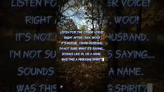 My Ovilus Screamed This at Labadie Cemetery....