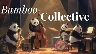Modern Jazz Ensemble 🐼 Bamboo Collective &ndash; Organic Jazz Session