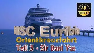 MSC Euribia | Middle East 7 Nights Cruise | Sir Bany Yas Island | Safari | #msceuribia #abudhabi