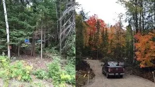 Clearing The Land and Putting In The Driveway