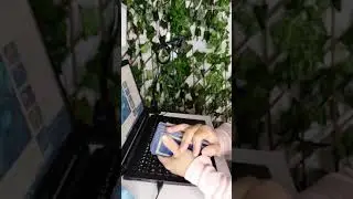 seguir sonhos
