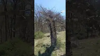 Stolfo Sculpture Garden, Lehigh University, Bethlehem Pennsylvania