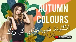 Autumn Colours in the UK