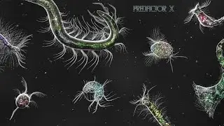 Organismos Modificados (Bionix: Spore Evolution Sim 3D)