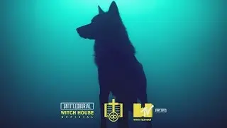 ♾ BLVCK CEILING &mdash; The Life of a Wolf