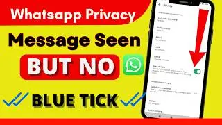 Whatsapp message seen but no blue ticks problem || how to read whatsapp messages without blue ticks