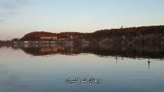 Dayeb Qalby Dayeb | Aicp Madih | دايب قلبى دايب