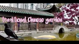 LINGNAN GARDEN Also Known as CANTONESE GARDEN || Lai Chi Kok Park || Classical Chinese Garden