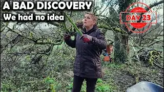 Day 23: A Hollow Apple Tree Trunk: Starting A Homestead in Ireland
