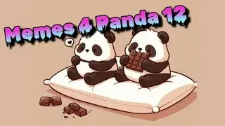 Memes 4 Panda 12 | @realpandaqueen