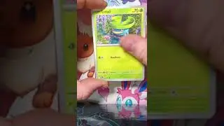Phantasmal Flames Booster Pack Opening Day 17