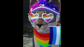 Did you see you flag?! 🏳️&zwj;🌈 NEW WCUE PRIDE UPDATE! &bull; #wcue