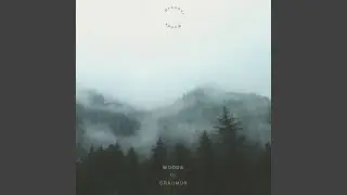 Woods