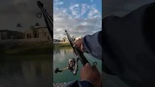 From Rod Set Up to Fish On