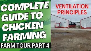 complete guide to broiler farming ventilation system