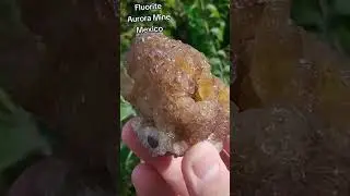 New Fluorite Crystal Find (Locality) From Mexico! #crystals #gems #new #nature #mining