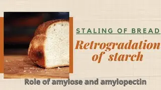 Why bread Become stale!? Retrogradation of starch Why bread Become hard!!? weeping of water